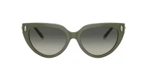 Tiffany TF 4195 835811