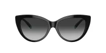 Tiffany TF 4196 80013C