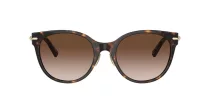 Tiffany TF 4223D 80153B