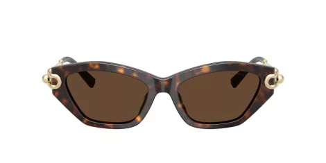 Tiffany TF 4231U 80153G