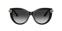 Tiffany TF 4232 80013C