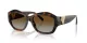 Tiffany TF 4233U 8015T5
