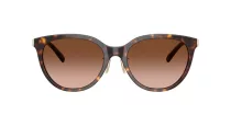Tiffany TF 4243D 80153B