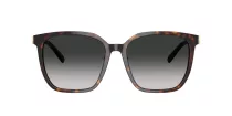 Tiffany TF 4244D 80153C